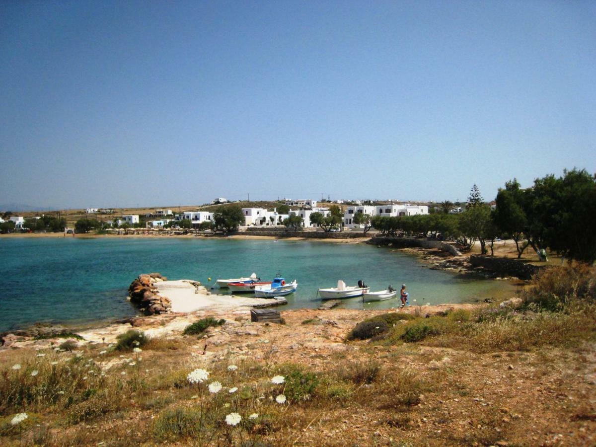 Villa Viglakia Naoussa Esterno foto
